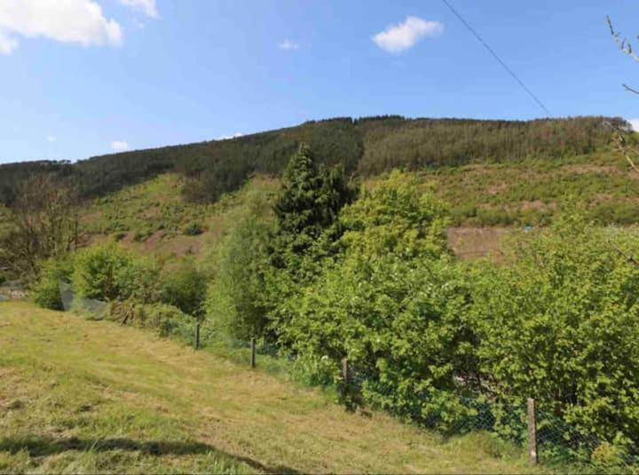 Afan House Villa Pontrhydyfen Eksteriør bilde